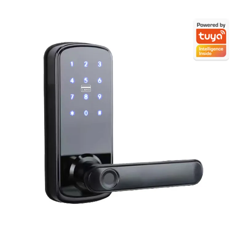 Single Tongue Password Fingerp - Smart Door Lock Wifi 评论和价格