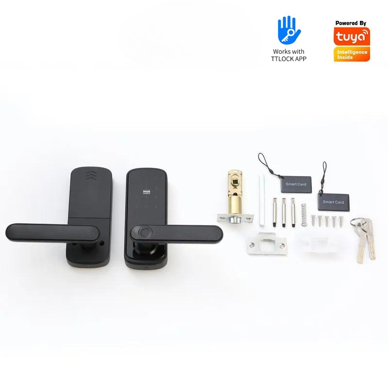 Tuya Wiif Password Fingerprint - Smart Door Lock Wifi 评论和价格